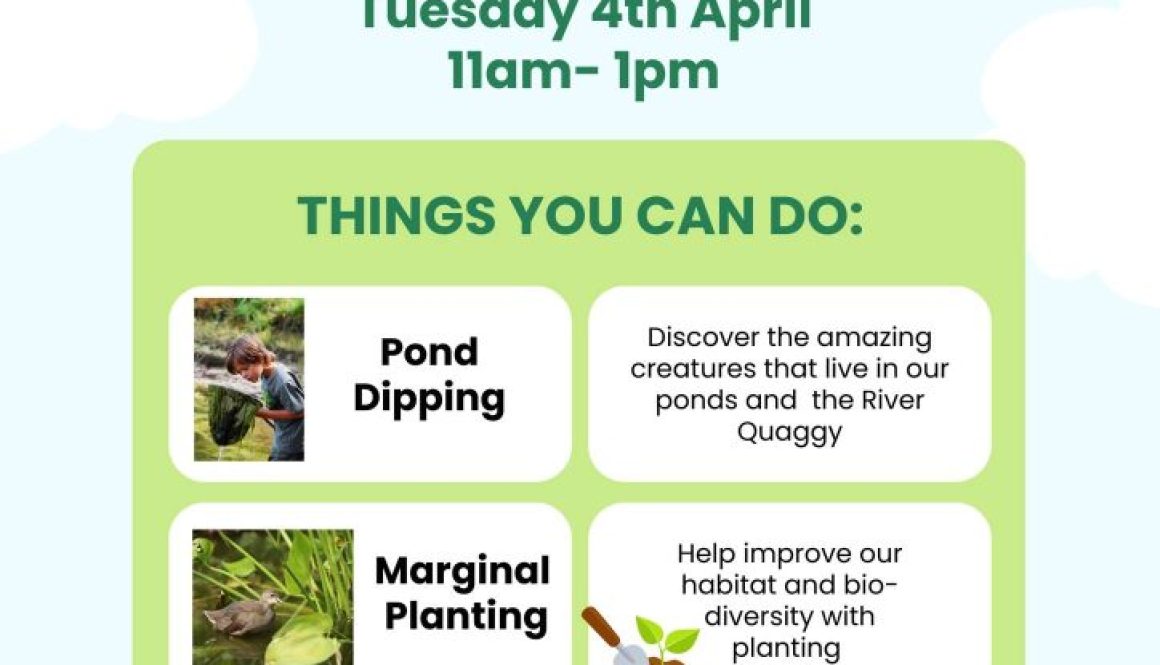 FOCM April 4th activity